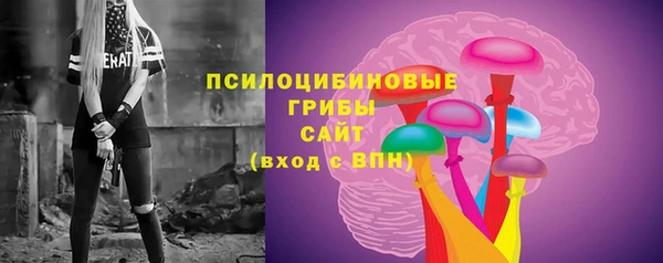 прущая мука Чекалин