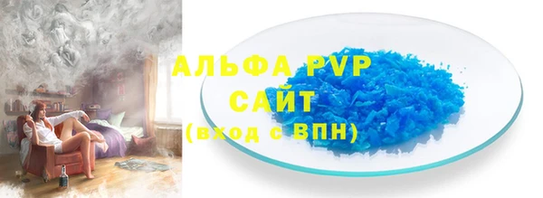 индика Няндома