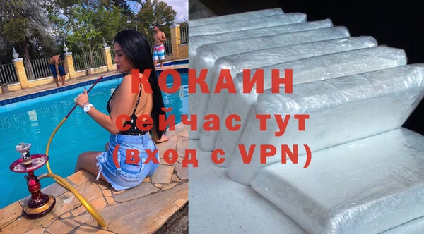 бошки Горняк