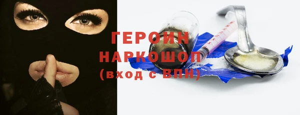 индика Няндома
