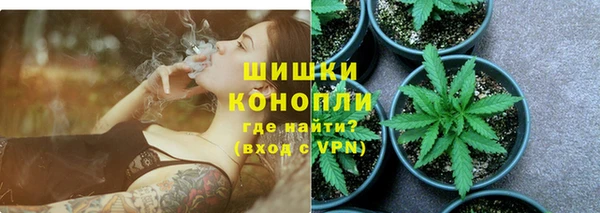 бошки Горняк